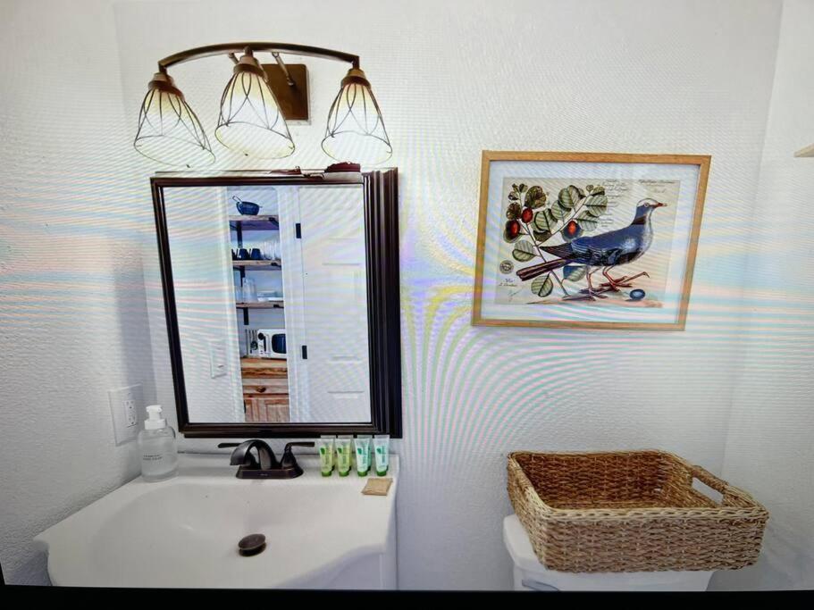 New Modern Boho Apt- Close To Yosemite Оукхърст Екстериор снимка